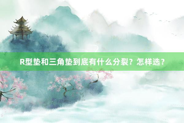 R型垫和三角垫到底有什么分裂？怎样选？